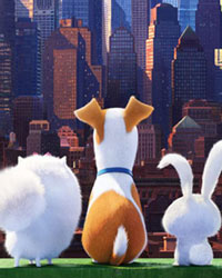 The Secret Life of Pets